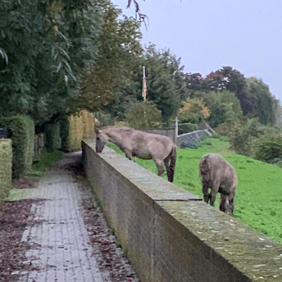 Hoeve Op De Meer Maastricht Ngoại thất bức ảnh